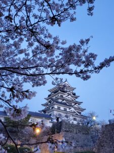 福山城の桜も満開