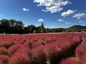 ブログ サムネイル世羅高原の秋の気配